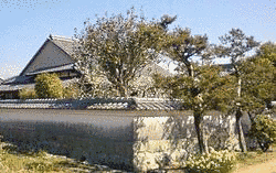 大石弥太郎の画像