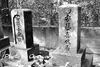河原塚茂太郎の画像