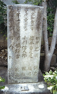 田内知の画像