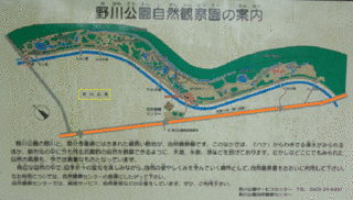 宮川信吉の画像
