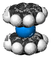 ウラノセンの画像