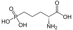 D-(-)-2-アミノ-5-ホスホノペンタン酸の画像