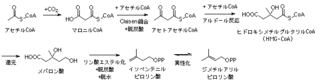 カルボン酸の画像