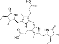 ステルコビリンの画像
