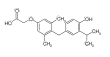 ソベチロムの画像