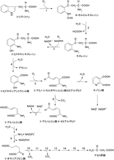 3-ヒドロキシアントラニル酸の画像