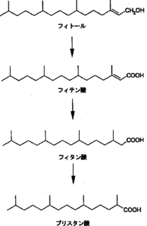 フィタン酸の画像