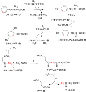 フェニルピルビン酸の画像