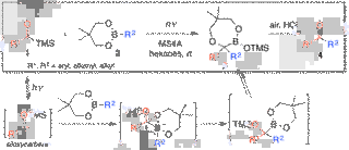 アシルシランの画像