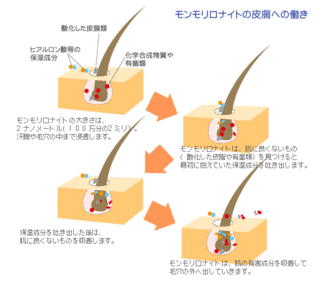 ベントナイトの画像
