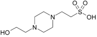 HEPESの画像