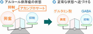 アカンプロセートの画像