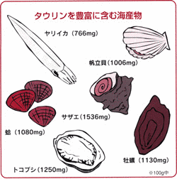 タウリンの画像