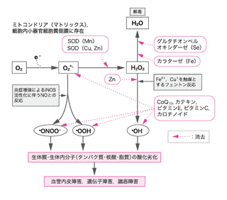 一酸化セレンの画像