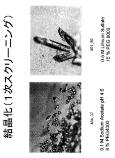 硫酸リチウムの画像