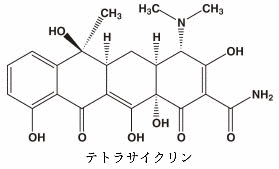 テトラサイクリンの画像