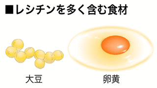 レシチンの画像