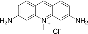 アクリフラビンの画像