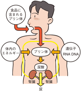 複素環式化合物の画像