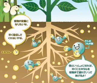 フルボ酸の画像