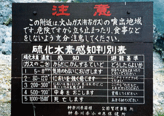 塩の画像