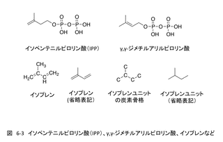 イソペンテニル二リン酸の画像