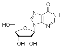 イノシンの画像