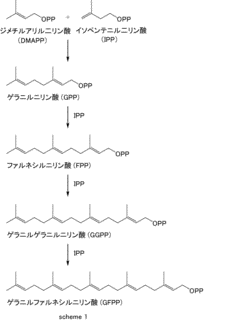 ゲラニル二リン酸の画像