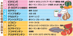 抗酸化物質の画像