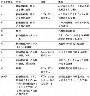 呼吸色素の画像