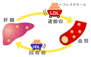 生化学の画像