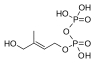 (E)-4-ヒドロキシ-3-メチル-2-ブテニル二リン酸の画像