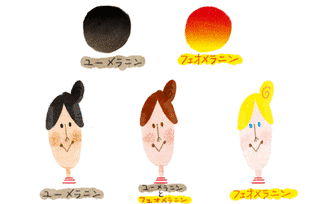 ユーメラニンの画像