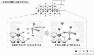 スクロオキシ水酸化鉄の画像