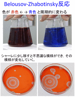フェロインの画像