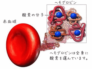 鉄の化合物の画像