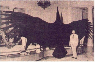 アルゲンタヴィスの画像