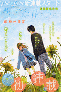 君はまるで、あの花のようで。の画像