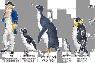 ジャイアントペンギンの画像