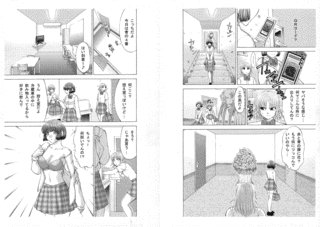 猫闘の画像