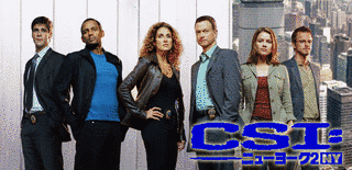 CSI:ニューヨークの画像