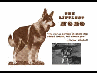 名犬ロンドン物語の画像
