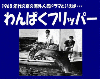 わんぱくフリッパーの画像
