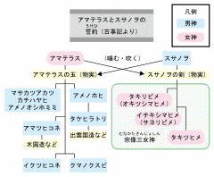 クマノクスビの画像