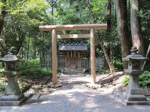 天道根命の画像