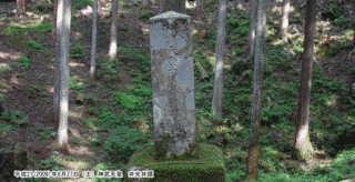 井氷鹿の画像