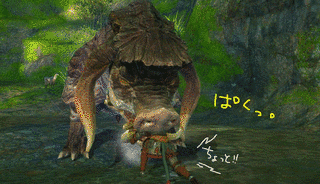 パイアの画像