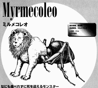 ミルメコレオの画像