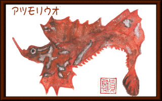 ツノシャチウオの画像