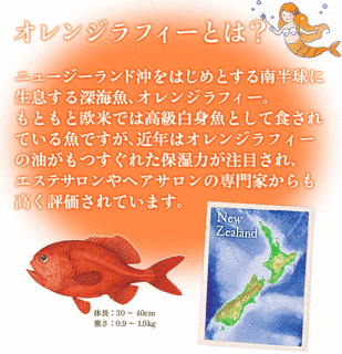 オレンジラフィーの画像